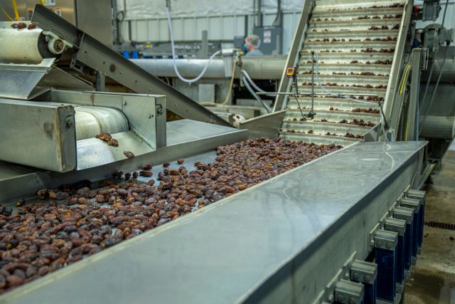 Innovazione alimentare: la tecnologia, da sola, non basta